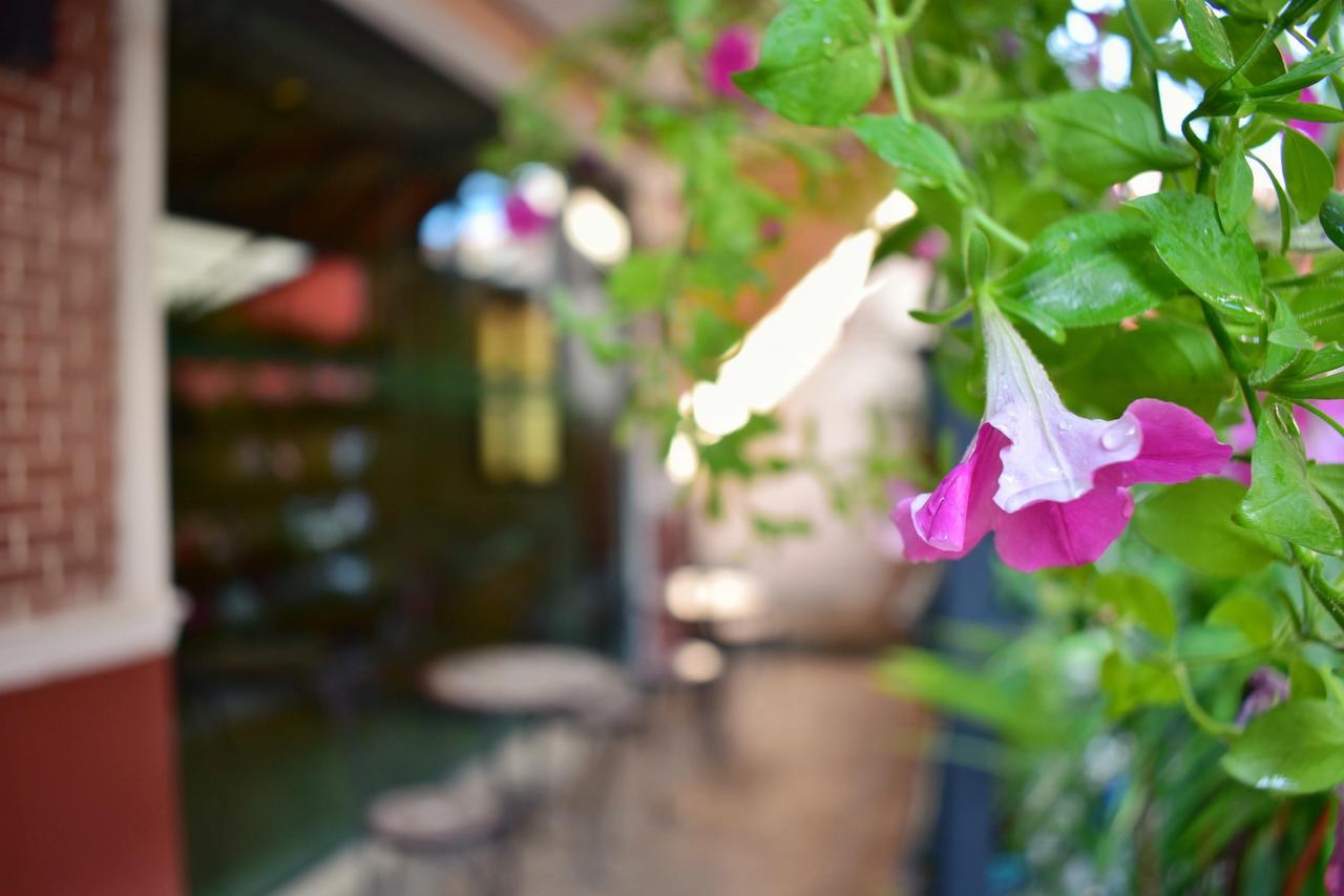 Outdoor Inn Kata Hotel Kültér fotó